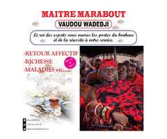 Le Plus Grand Maître Marabout Vaudou WADEDJI Du Bénin ! Téléphone & Whatsapp :229) 61 41 07 02